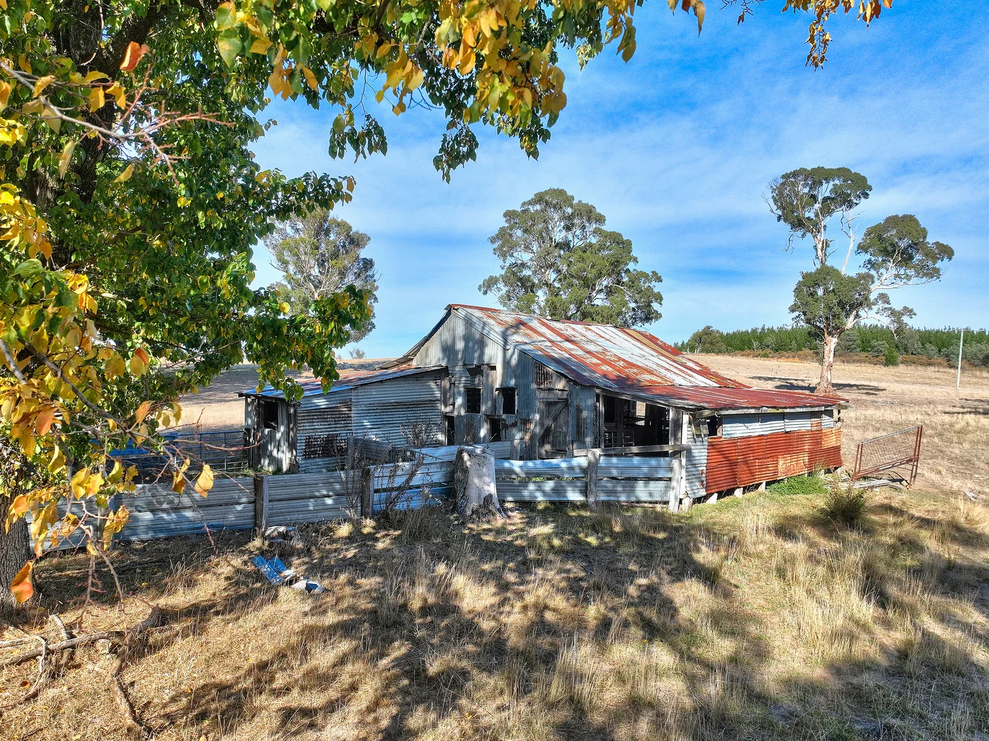 Additional image 20 of 2585 Burraga Road, Burraga NSW 2795