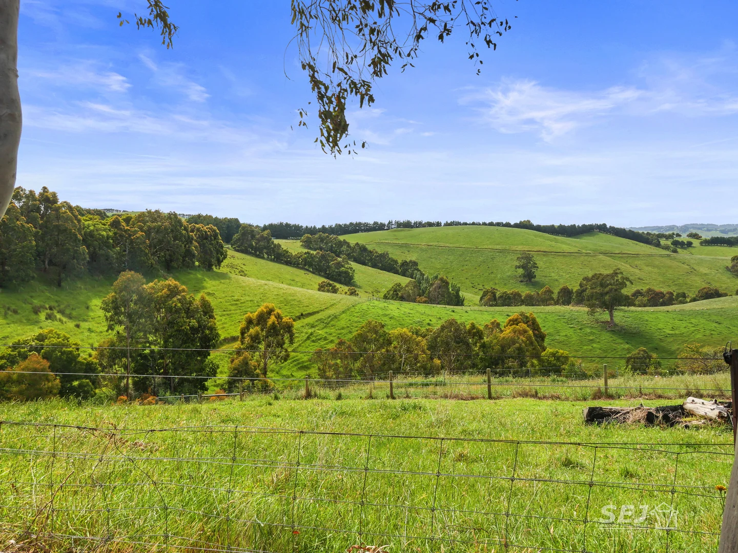 Additional image 15 of 1510 Meeniyan-Mirboo North Road, Dumbalk VIC 3956