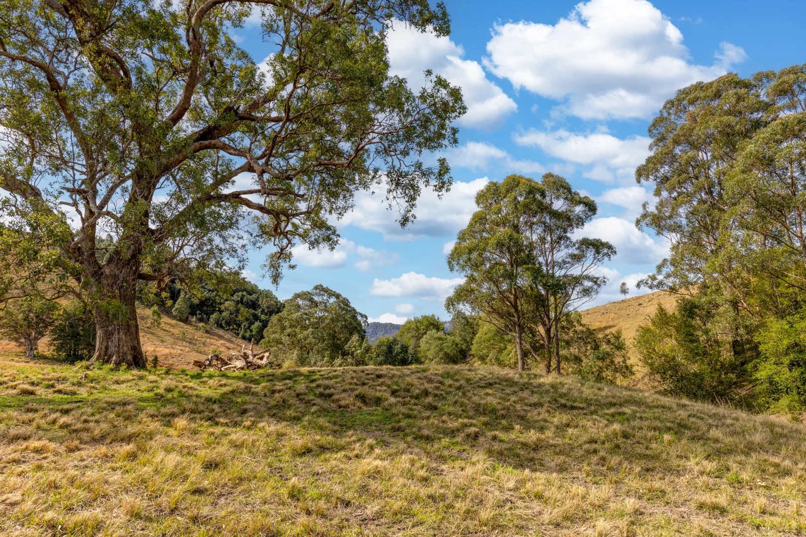 Additional image 4 of Lots/34 & 158 Salisbury Road, Dungog NSW 2420