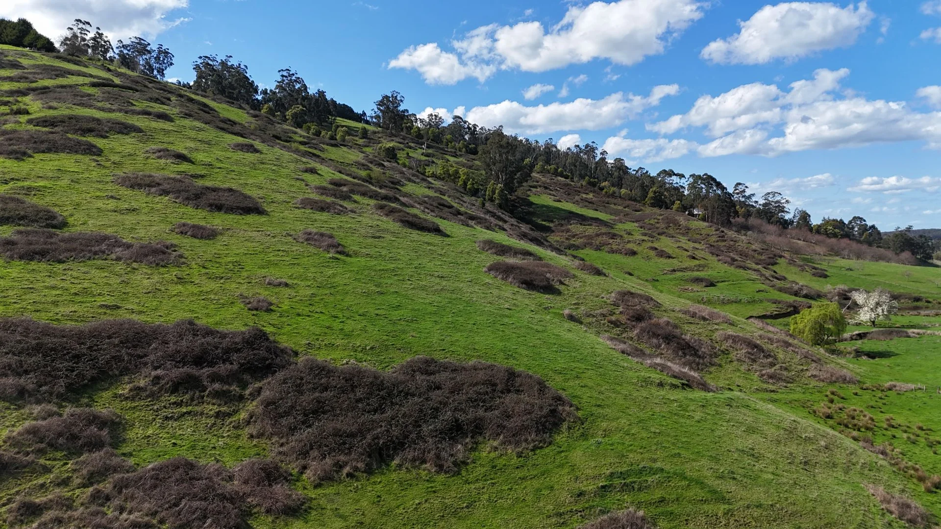 Additional image 17 of 141 BUNDERRA DRIVE, Boolarra VIC 3870