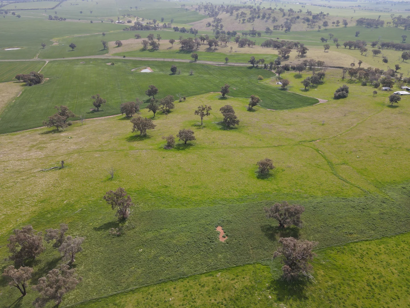 Additional image 11 of Woodstock NSW 2793