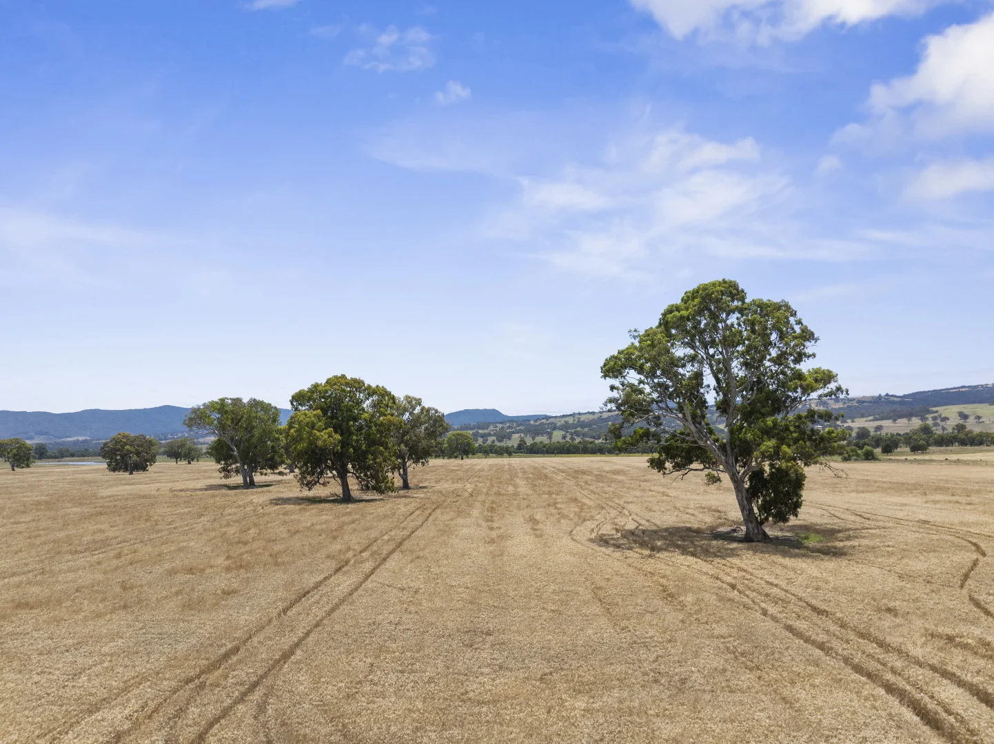 Additional image 6 of 1522 Long Lane, Barwite VIC 3722