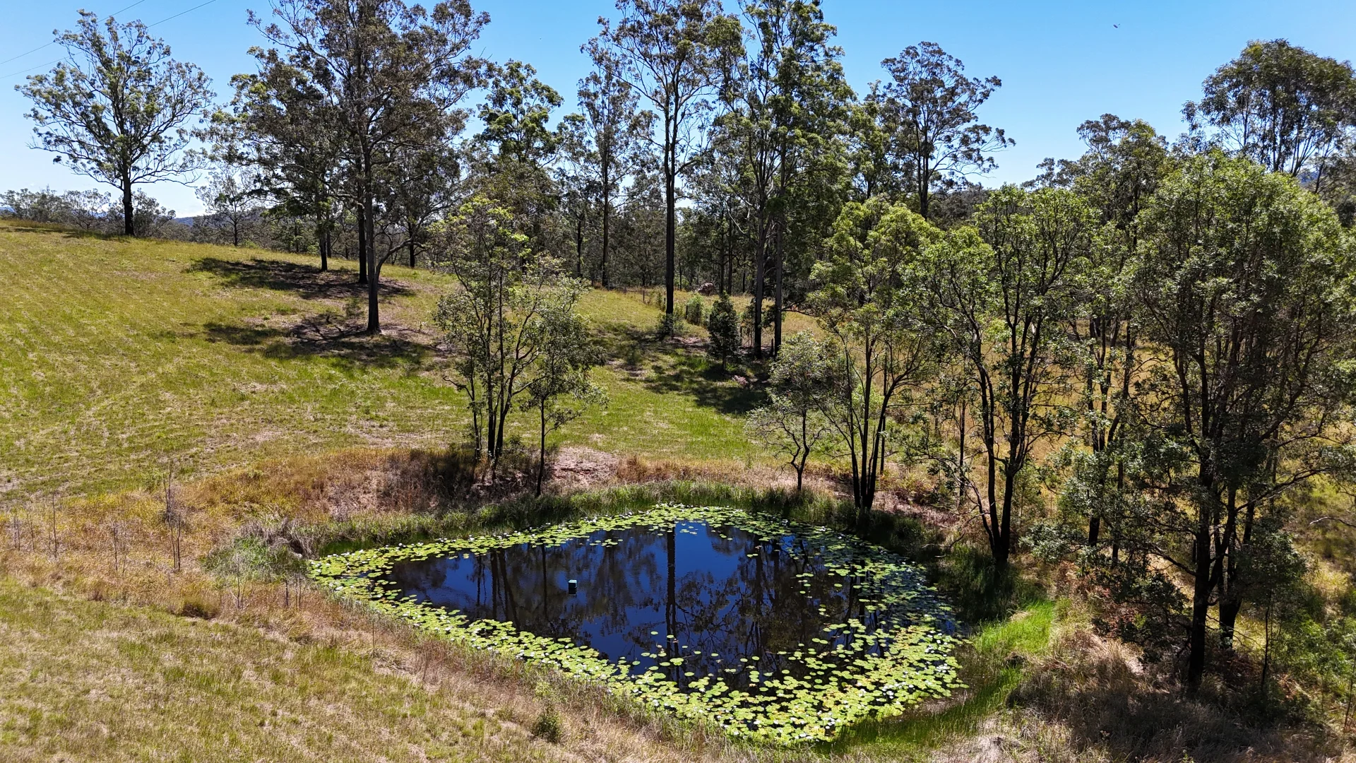 Additional image 5 of 6A Wilsons Lane, Hickeys Creek NSW 2440