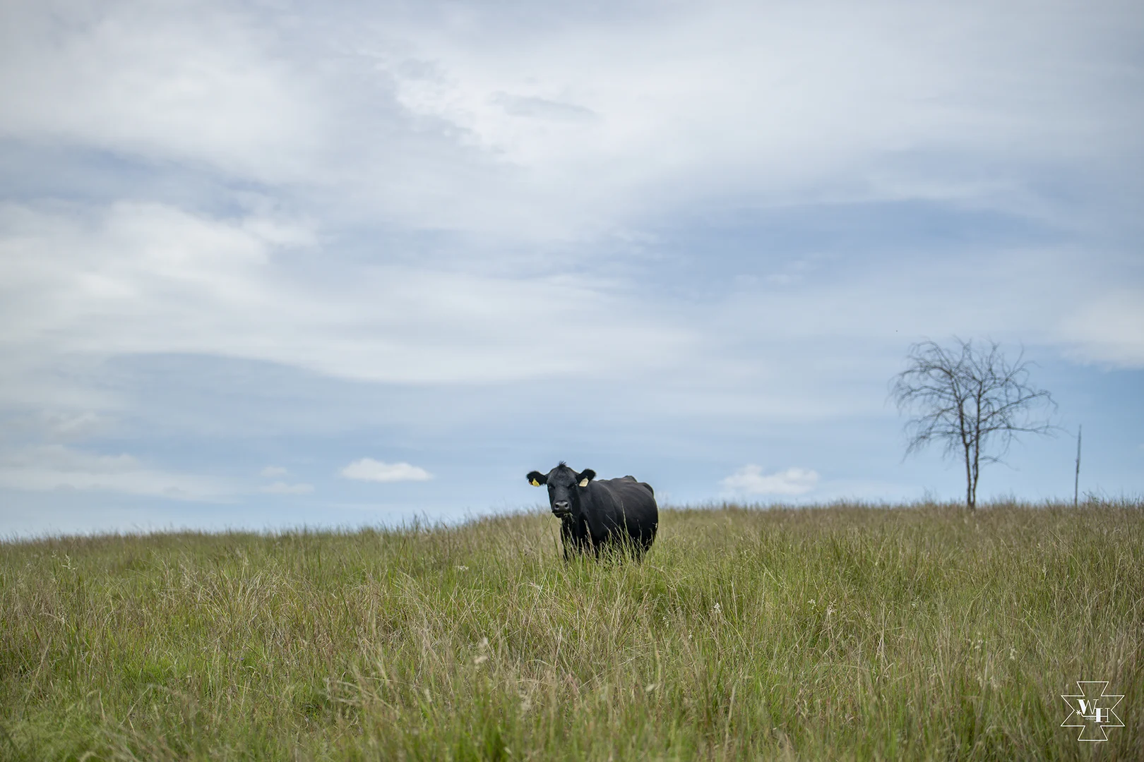 Additional image 9 of Gayndah QLD 4625