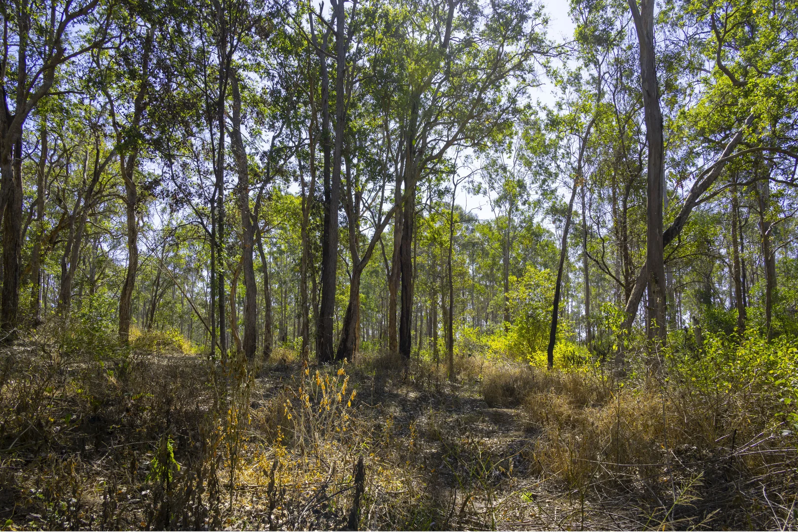 Additional image 15 of 151 Cameron Road, Taromeo QLD 4314