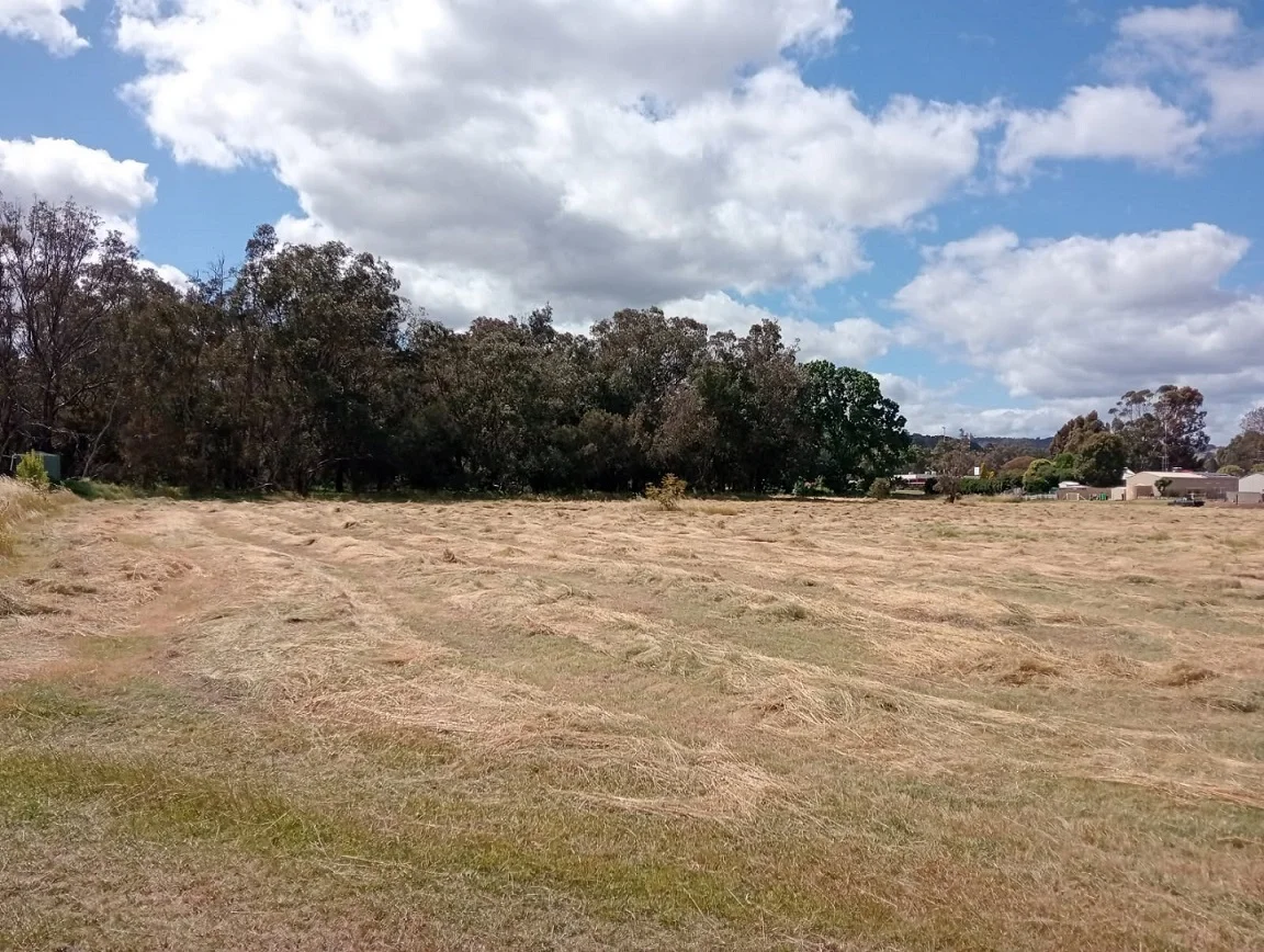 Additional image 9 of 6 Ellen Street, Brunswick WA 6224