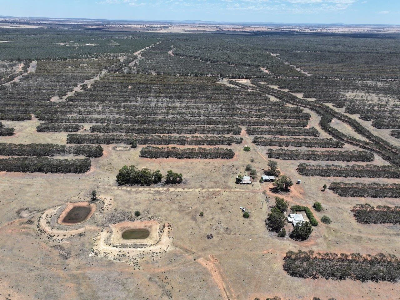 Additional image 10 of 'Corio' 343 Lees Lane, Alleena NSW 2671