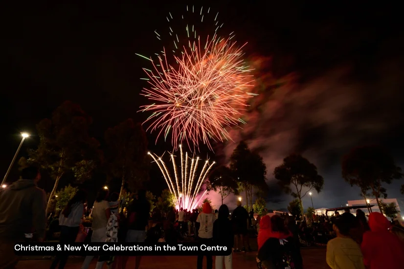 Additional image 14 of Lot 3208 Clarence Circuit, Oran Park NSW 2570