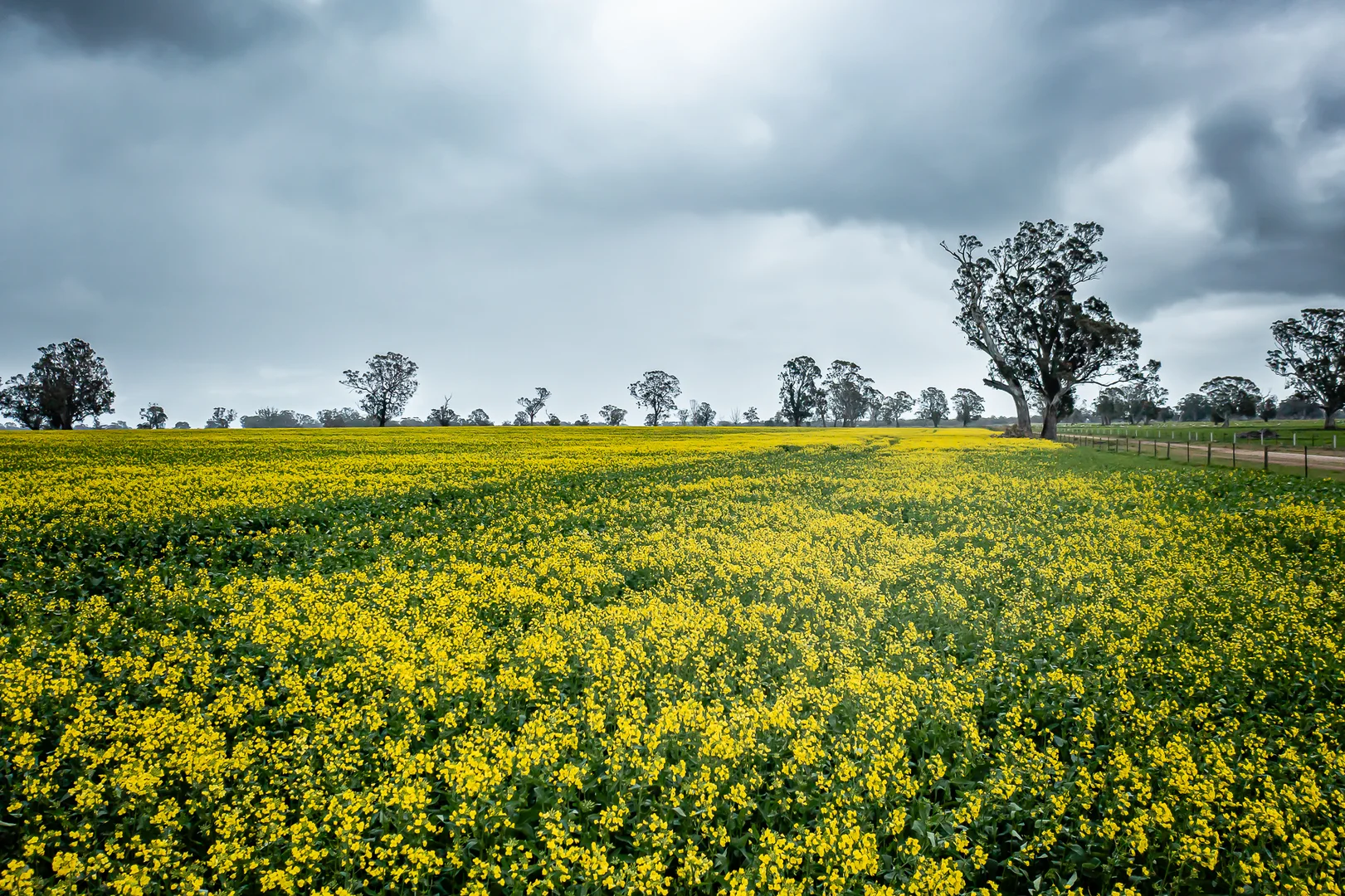 Additional image 4 of 58 Camerons and Lampards Road, Charam VIC 3318