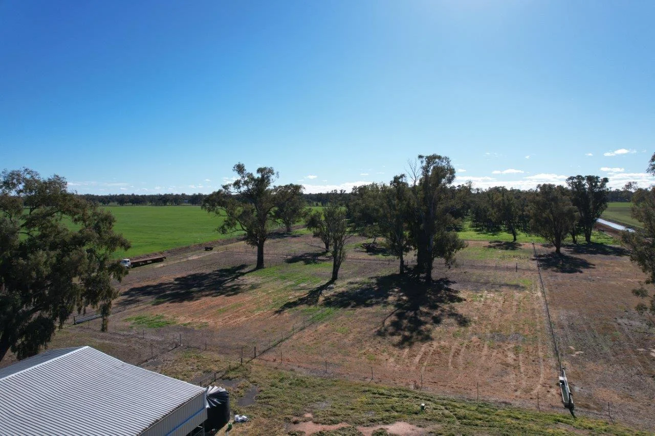 Additional image 18 of 8065 Lachlan Valley Way, Forbes NSW 2871