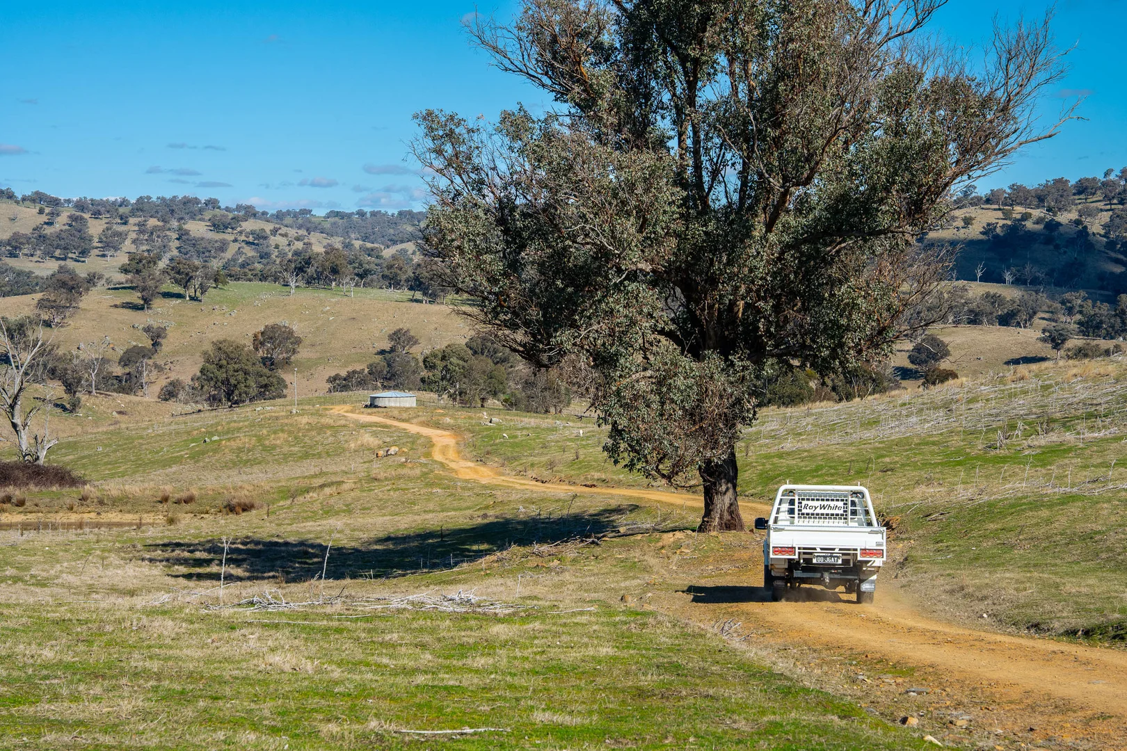 Additional image 12 of 334 Lucky Swamp Road, Crooked Corner NSW 2583