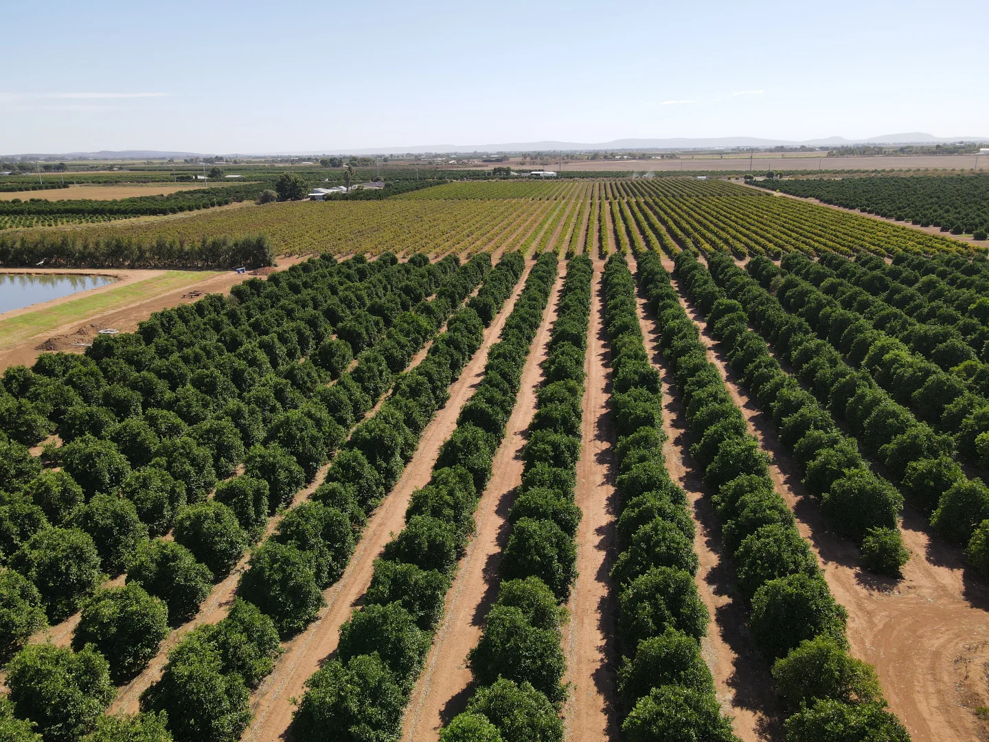 Additional image 19 of 187 Morley Road, Yoogali NSW 2680