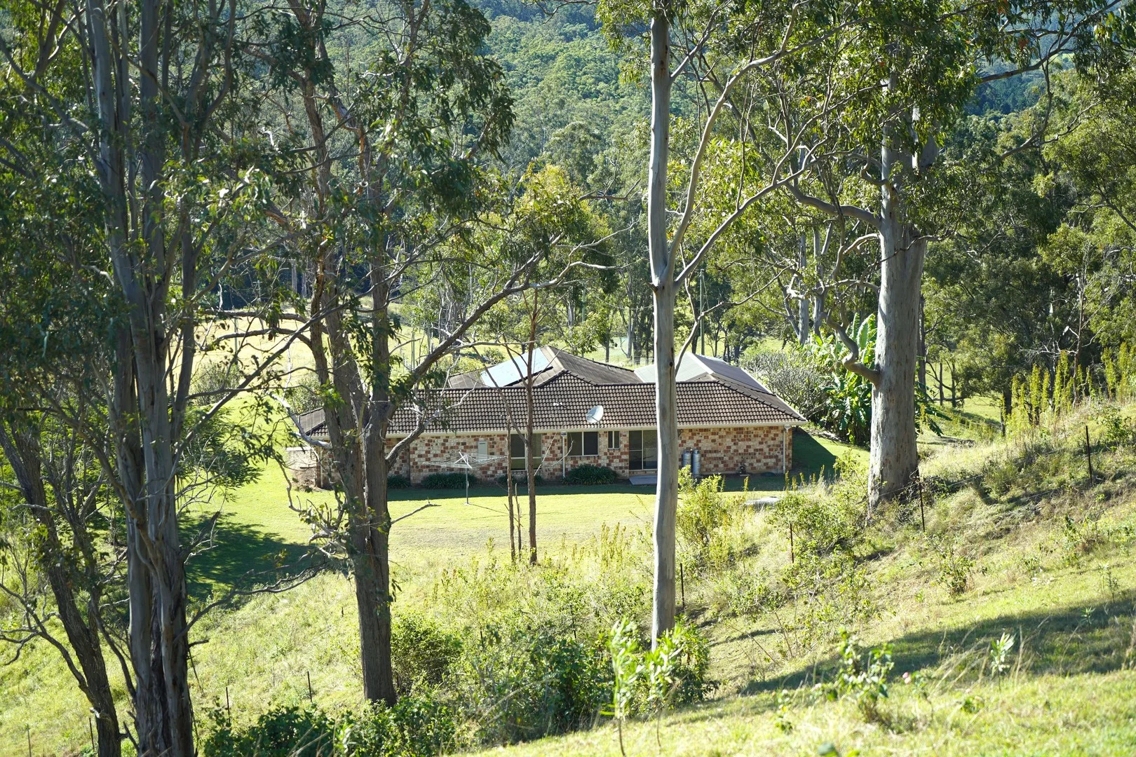 Additional image 32 of 2425 Pine Creek Road, Kyogle NSW 2474