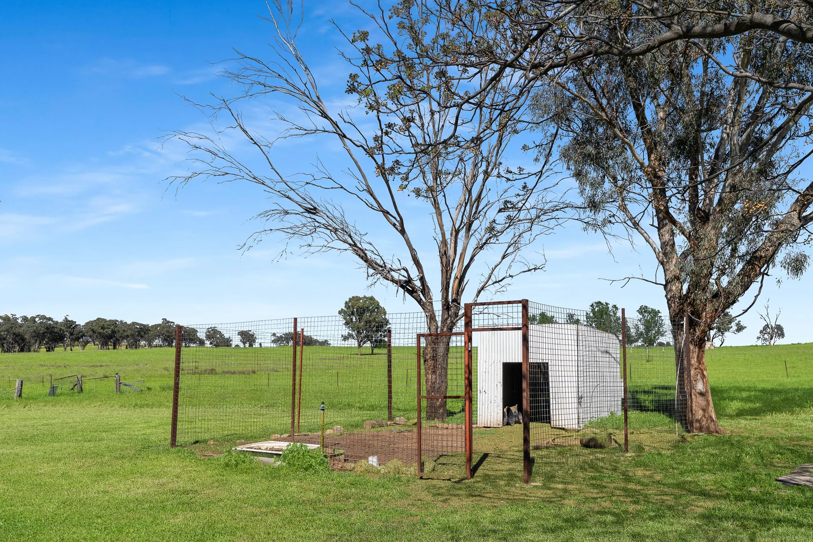 Additional image 19 of 338 Baldry Road, Cumnock via, Molong NSW 2866