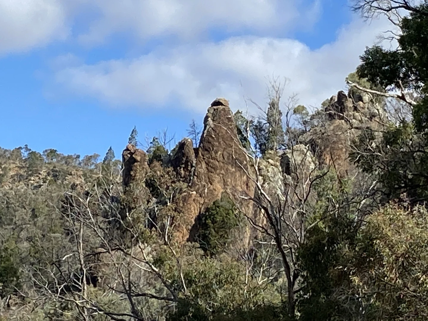 Additional image 95 of 1124 WARKTON ROAD, Coonabarabran NSW 2357