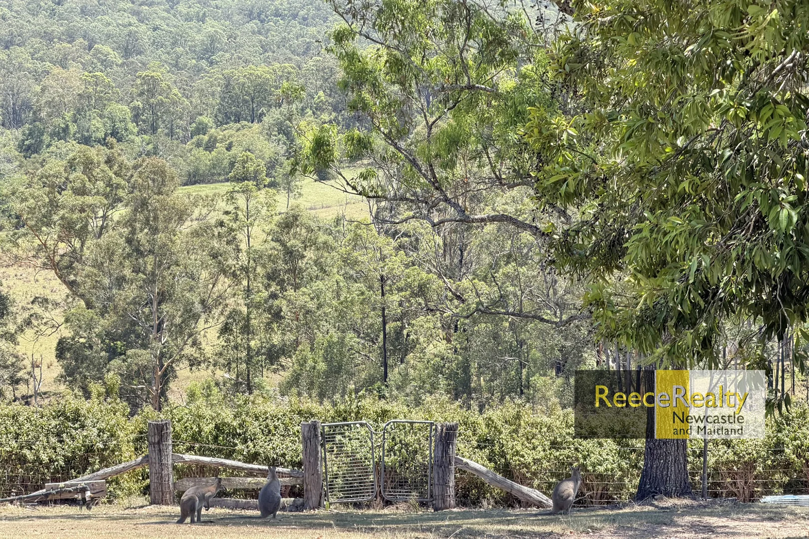 Additional image 18 of 122 Secombs Lane, Hickeys Creek NSW 2440