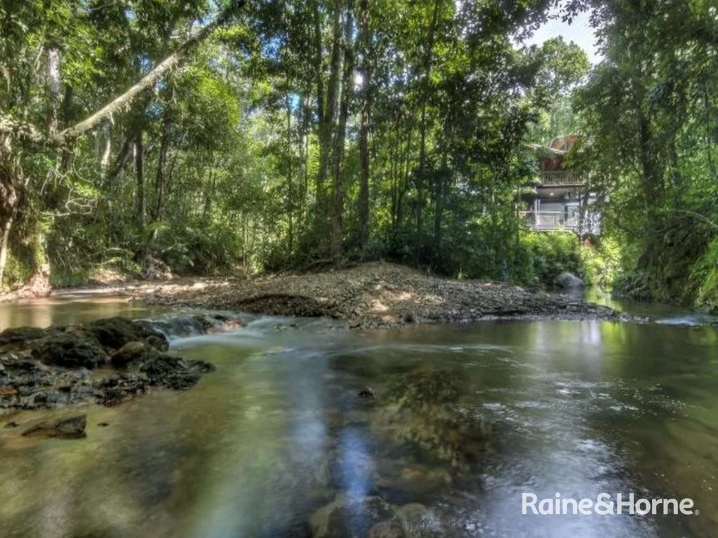 Additional image 6 of 472 Buchanan Creek Road, Cow Bay, Daintree QLD 4873