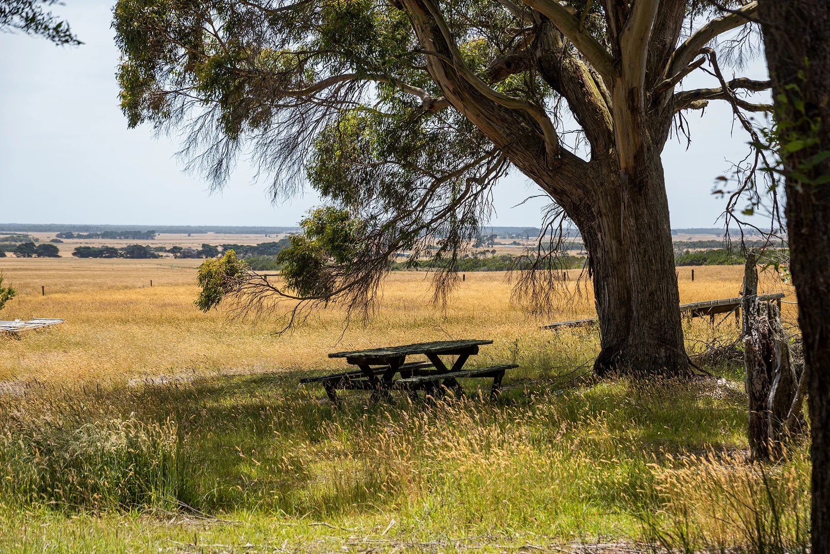 Additional image 3 of 189 Summer Camp Road, Memana TAS 7255