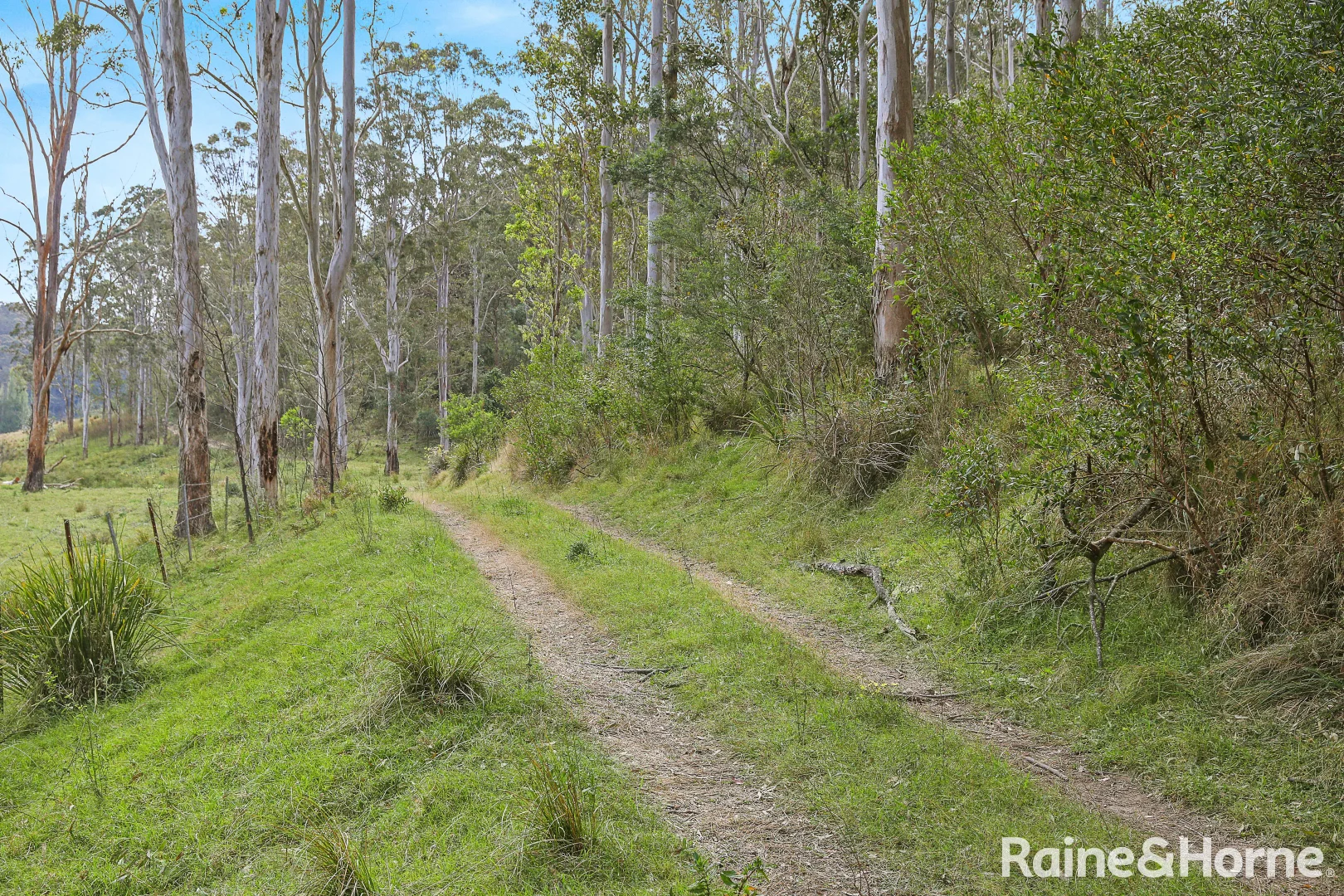 Additional image 4 of 440 Burrier Road, Barringella NSW 2540