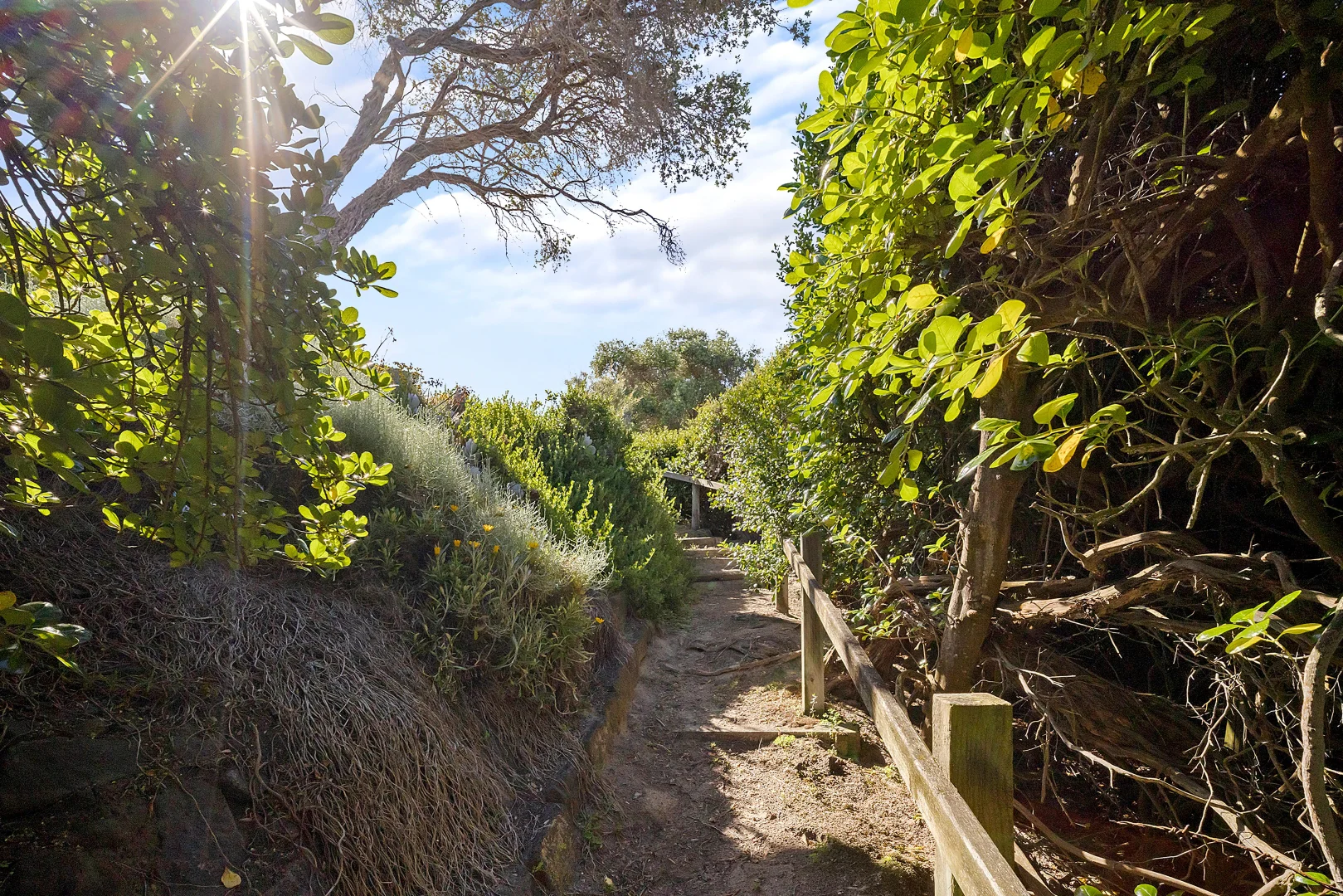 Additional image 24 of Lot 1/20 Griffiths Street, Port Fairy VIC 3284