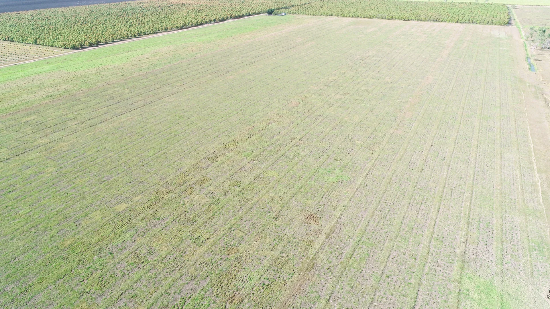 Additional image 11 of 3 Comiskey Road, Horseshoe Lagoon QLD 4809