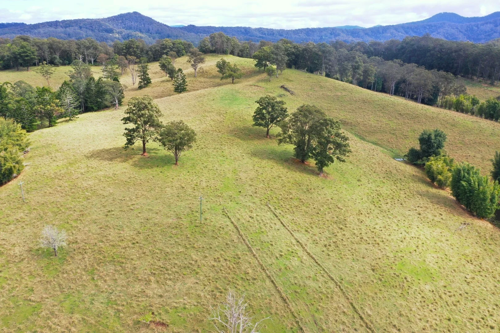 Additional image 29 of 66 Old Tweed Road, Wadeville NSW 2474