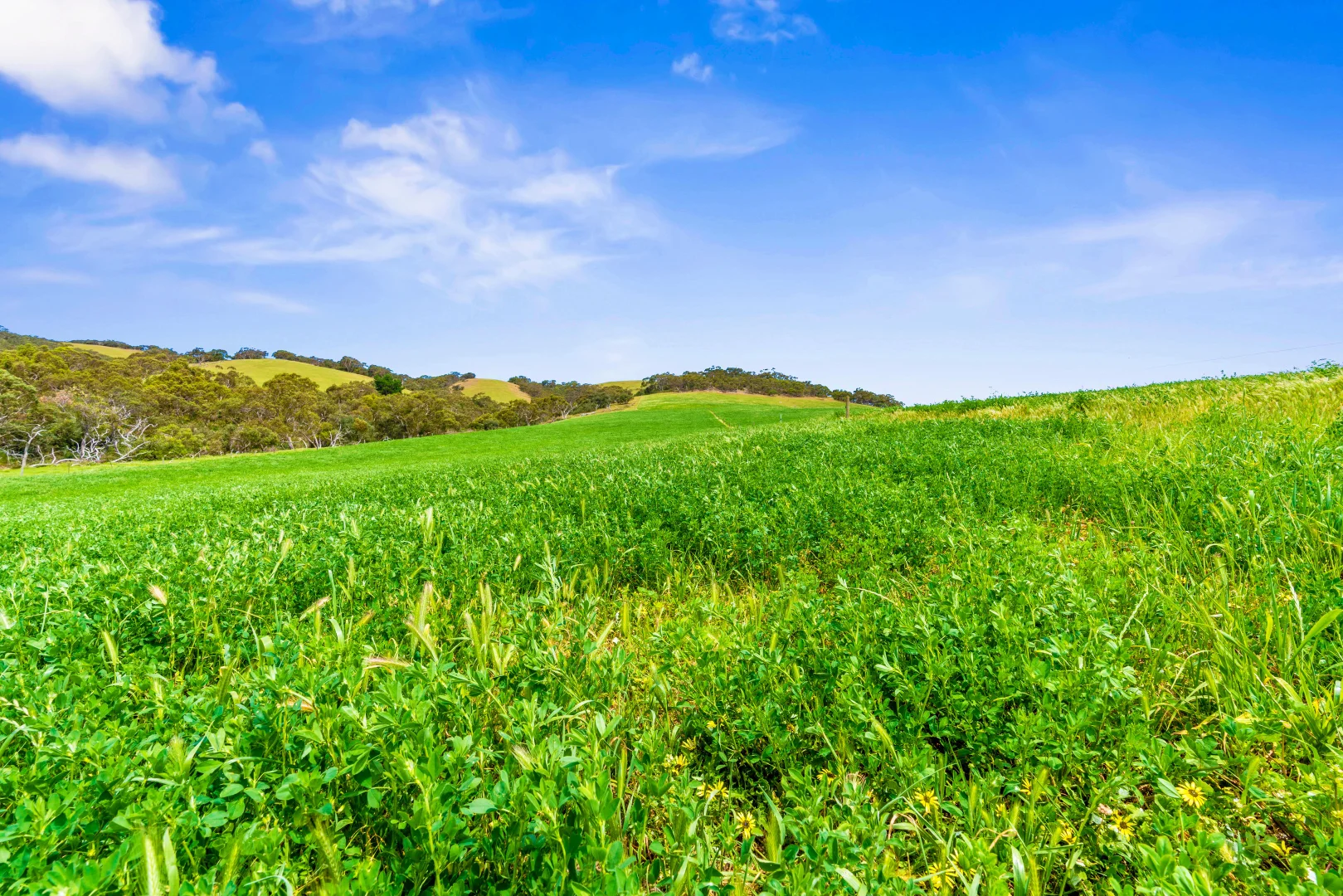 Additional image 20 of 700 Cleland Gully Road, Tooperang SA 5255