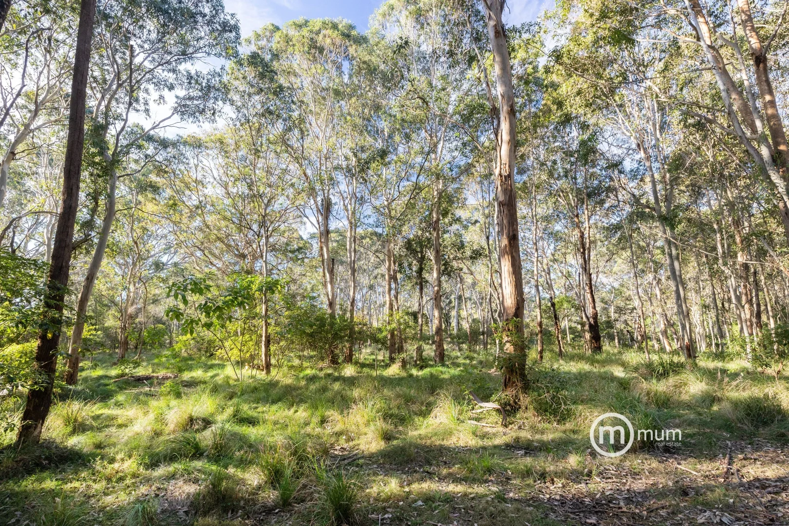 Additional image 7 of - Forster Drive, Bawley Point NSW 2539