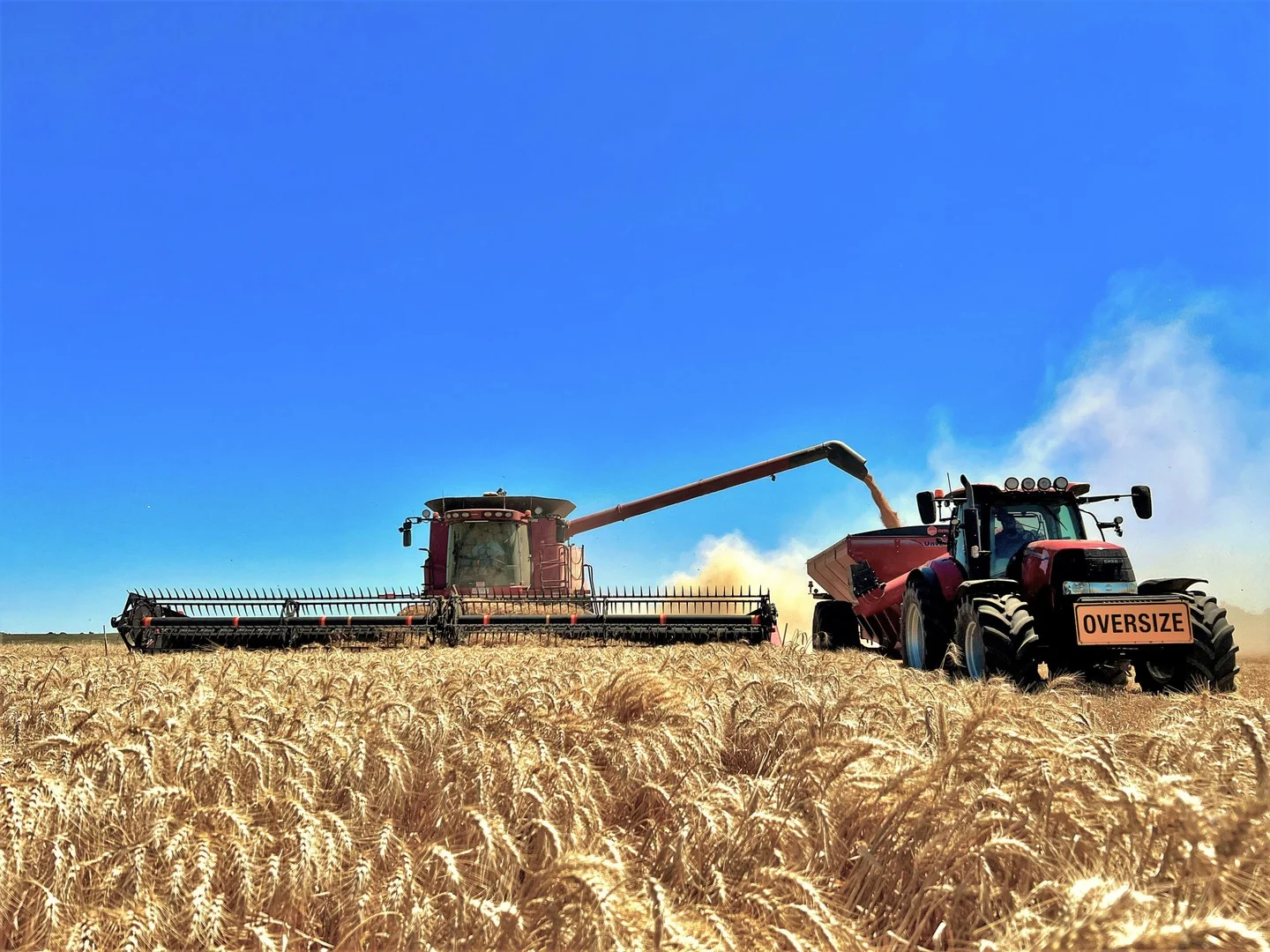 Additional image 9 of 2648 Old Narrandera Road, Currawarna NSW 2650