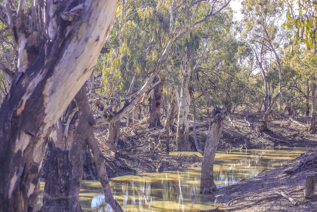 Additional image 23 of 'Wetuppa' 245 Fisher Lane, Wetuppa NSW 2734