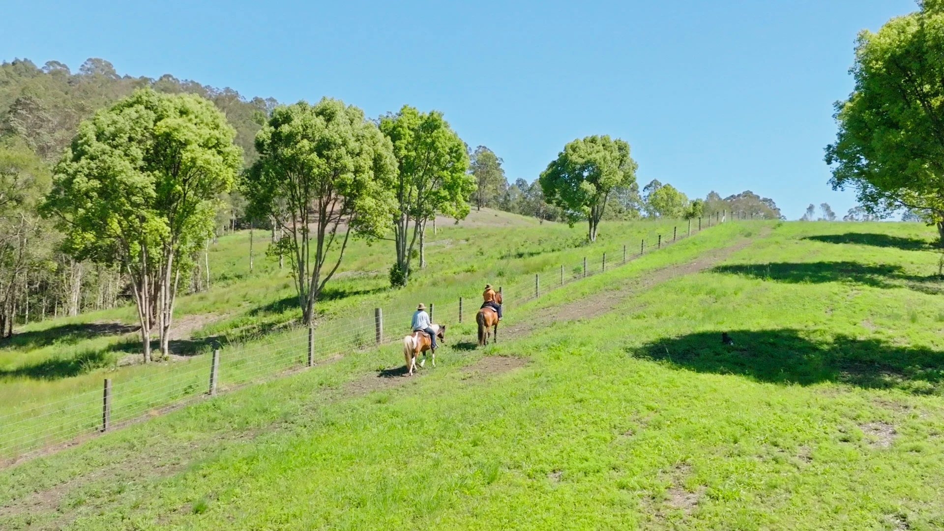 Additional image 14 of 2981 Kyogle Road, Kunghur NSW 2484