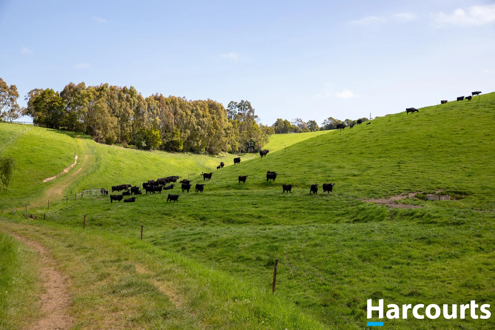 Additional image 13 of 715 Falls Road, Fish Creek VIC 3959