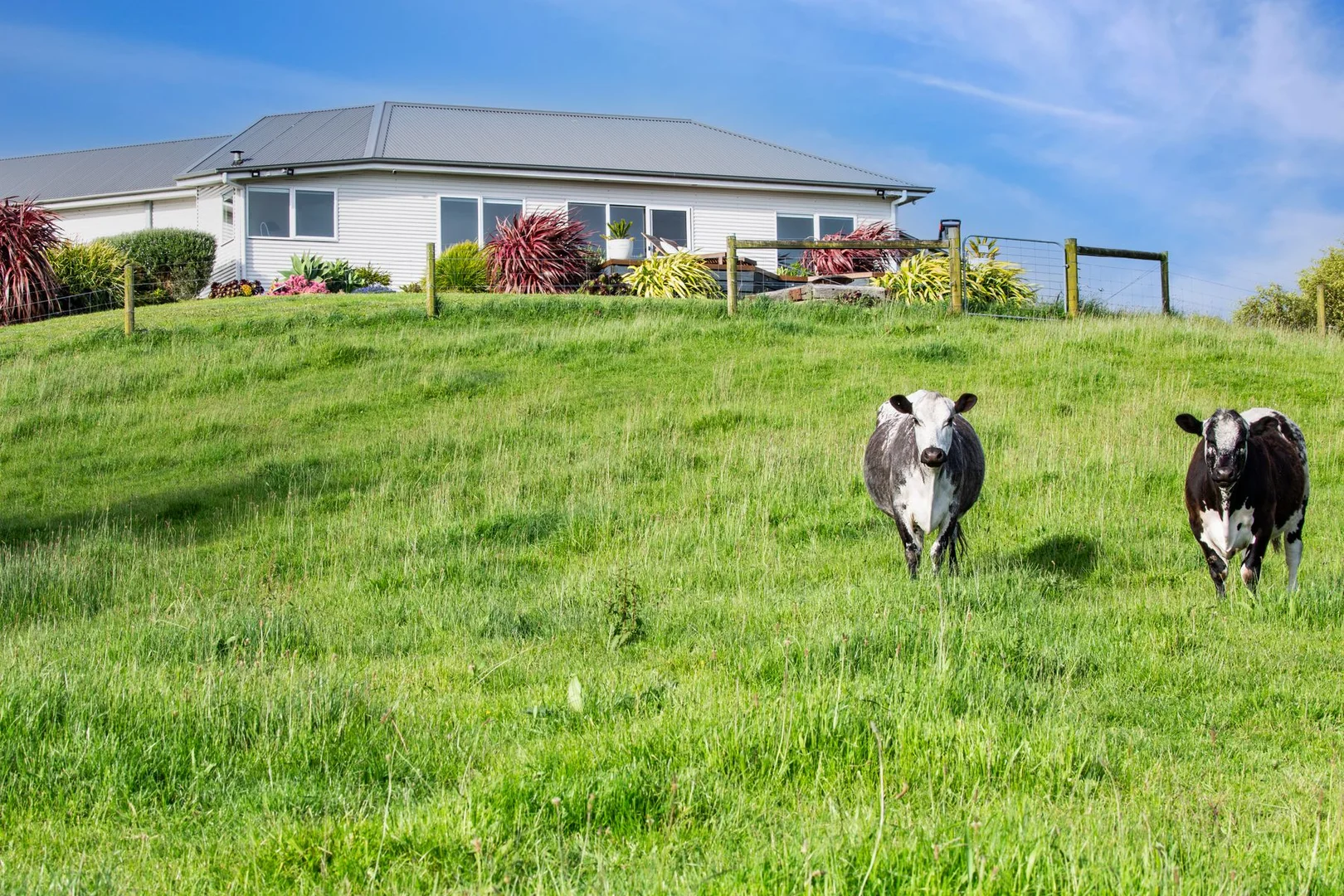 Additional image 34 of 3100 South Gippsland Highway, Foster North VIC 3960