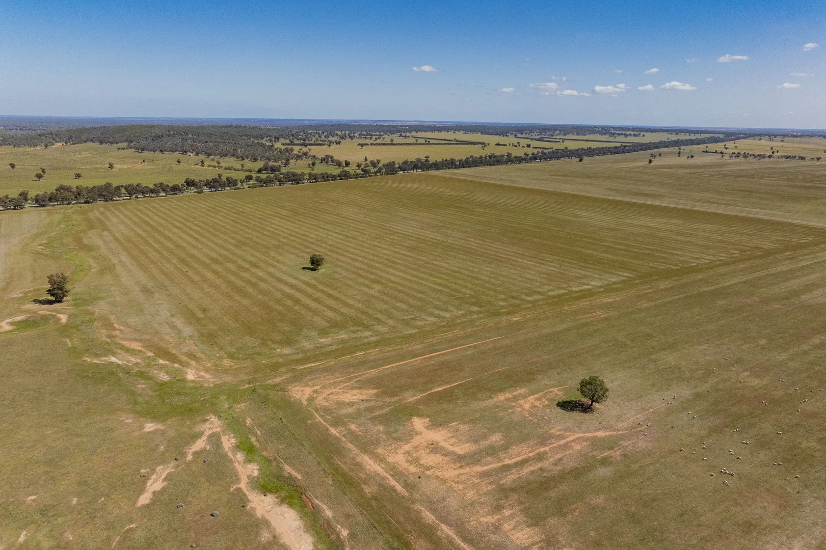 Additional image 6 of 869 Newell Highway, Narrandera NSW 2700
