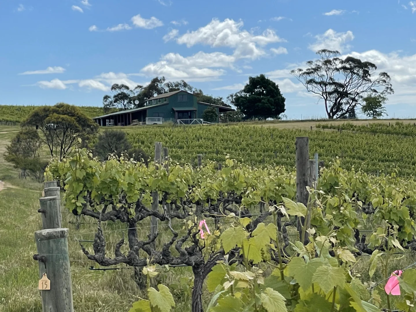 Additional image 4 of 296 Rosedale Scenic Road, Lyndoch SA 5351