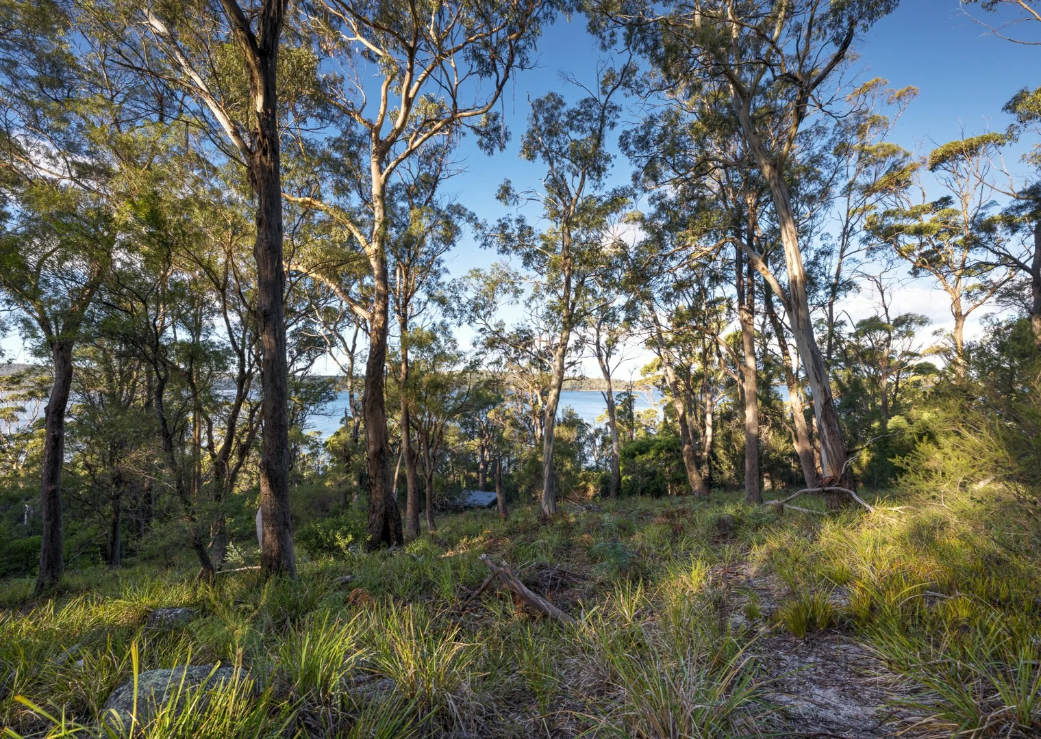 Additional image 10 of 367 Binalong Bay Road, St Helens TAS 7216
