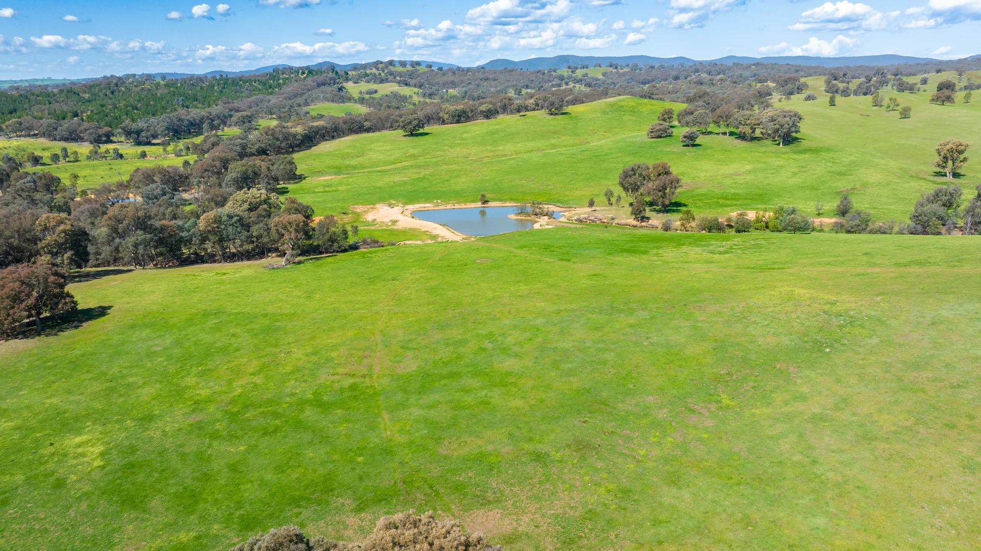 Additional image 11 of 13759 Hume Highway, Mullengandra NSW 2644