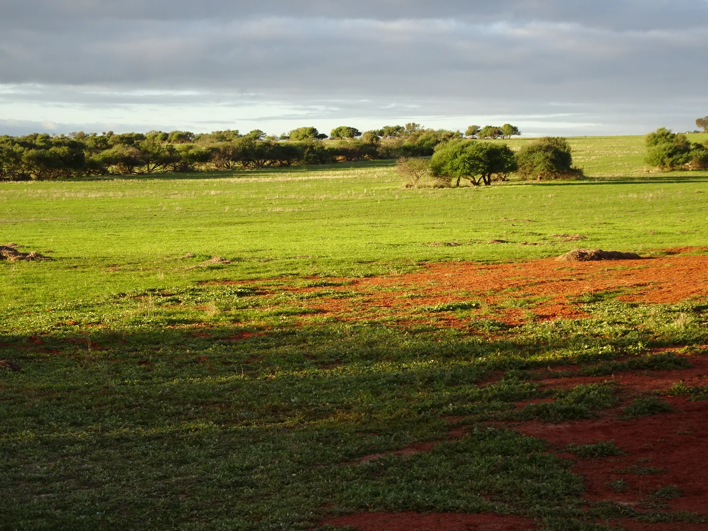 Additional image 14 of Lot 12520 Great Southern Highway, Woodanilling WA 6316