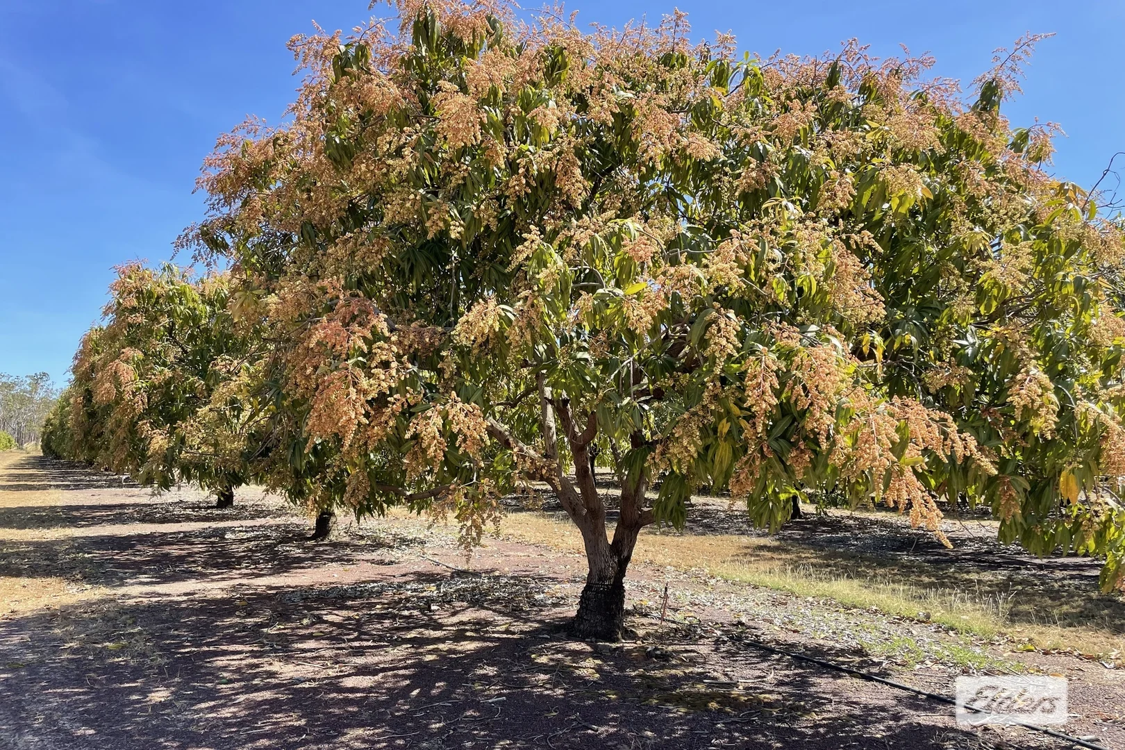 Additional image 7 of 30 Cain Road, Lambells Lagoon NT 0822