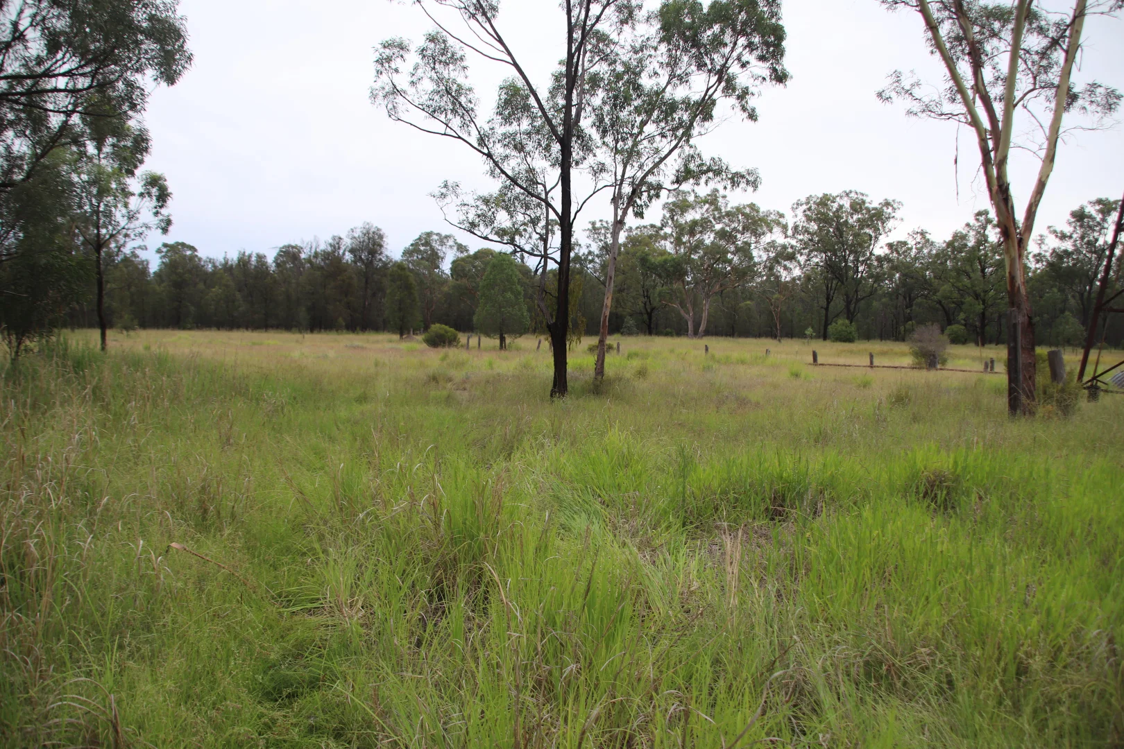 Additional image 6 of Lots 1 & N Yagaburne-Boondandilla Road, Boondandilla QLD 4406