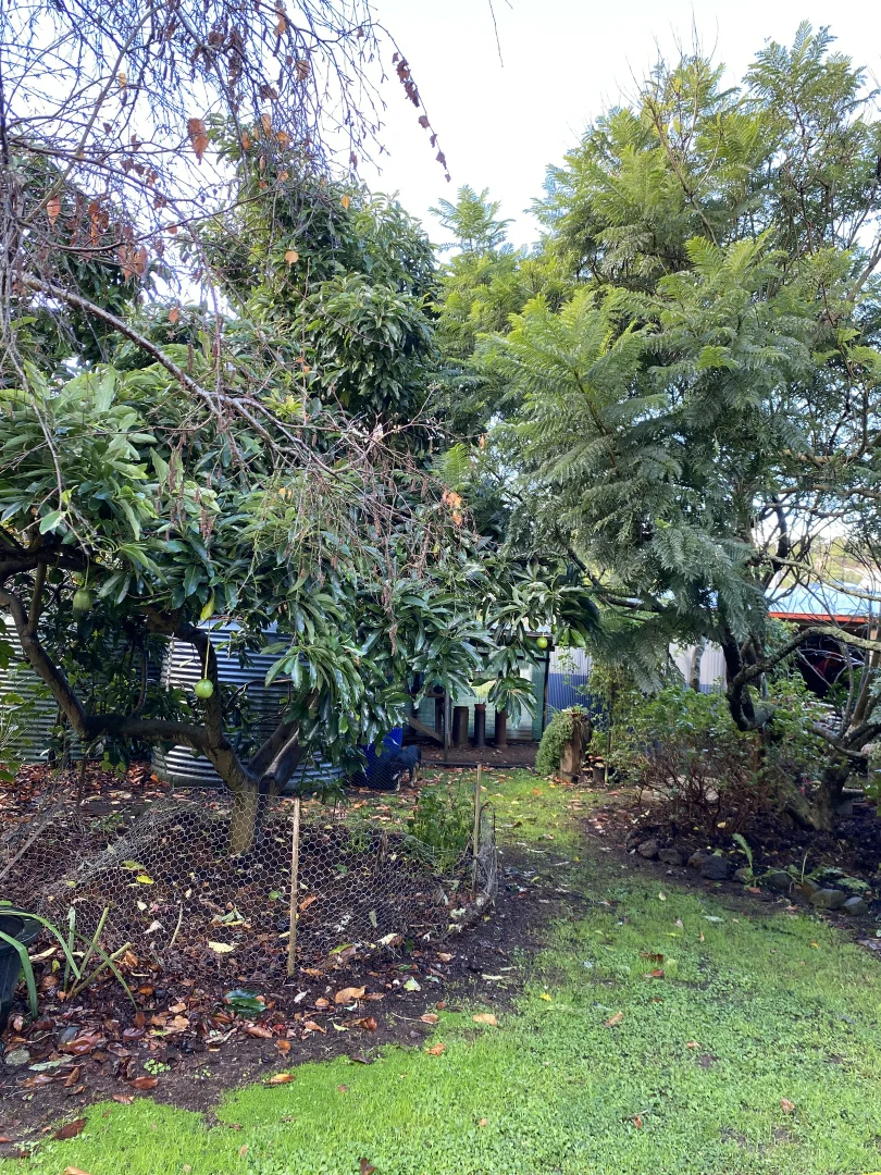 Additional image 39 of 19 Forrest Street, Naracoopa TAS 7256