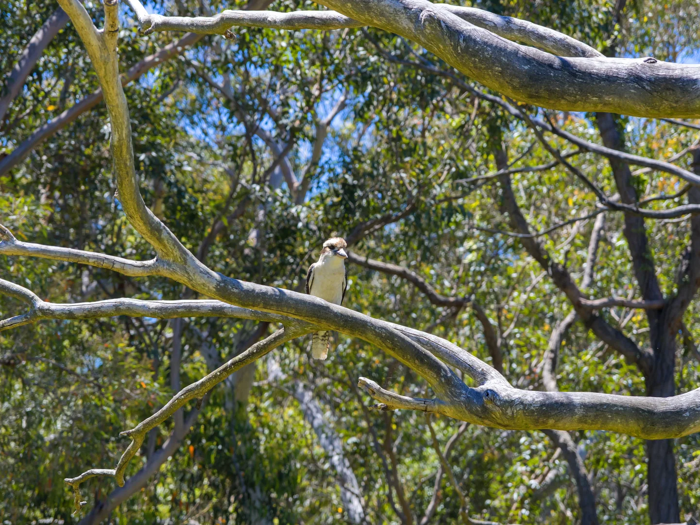 Additional image 30 of 407B Bendeela Road, Kangaroo Valley NSW 2577