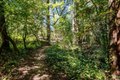 Additional image 33 of 9935 Occidental Rd, Sebastopol, CA, 95472