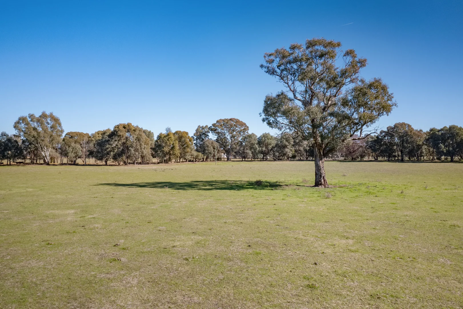 Additional image 14 of 486 Carraragarmungee Estate Road, Byawatha VIC 3678