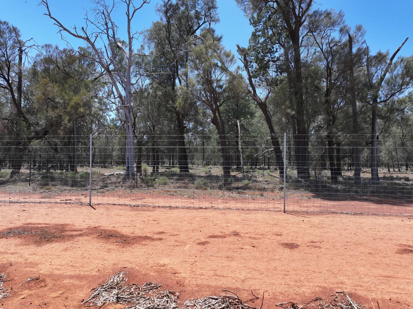 Additional image 6 of "Glen Avon" 99 Davies Lane, Caragabal NSW 2810