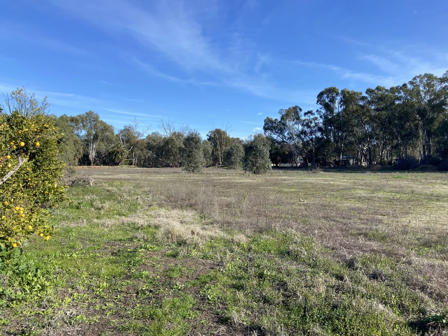 Additional image 6 of 306 Anstruther Street, Echuca VIC 3564