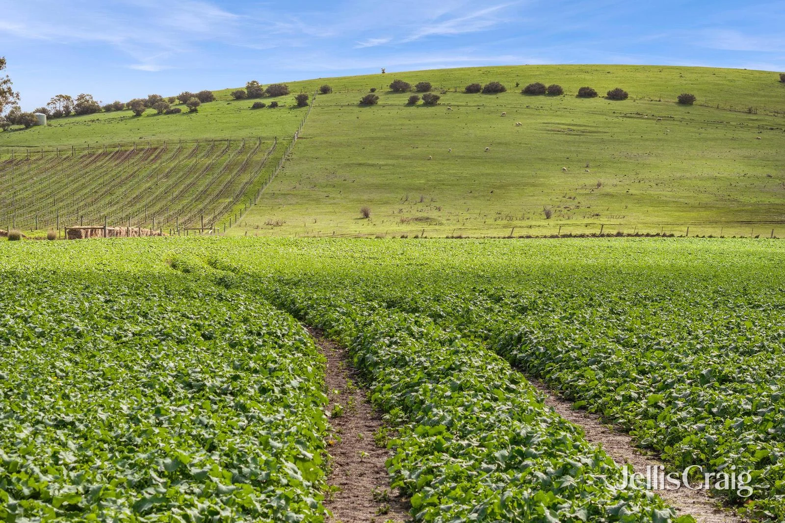 Additional image 9 of Lot 2/2970 Ballarat Maryborough Road, Clunes VIC 3370