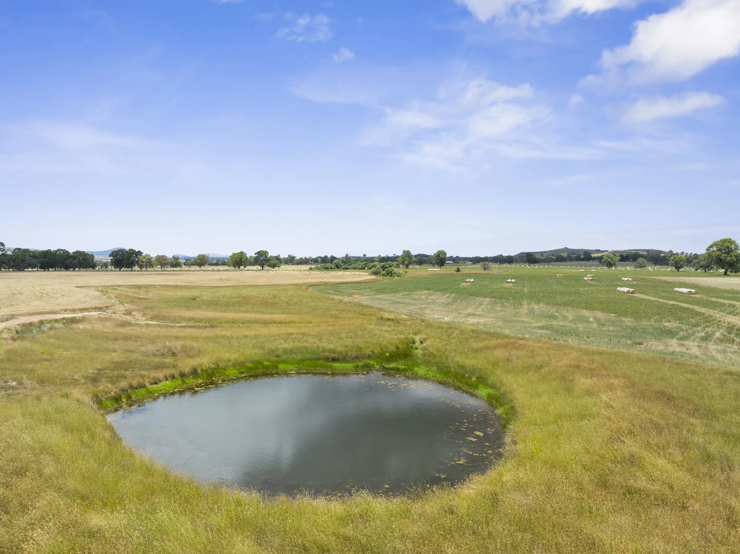 Additional image 7 of 1522 Long Lane, Barwite VIC 3722