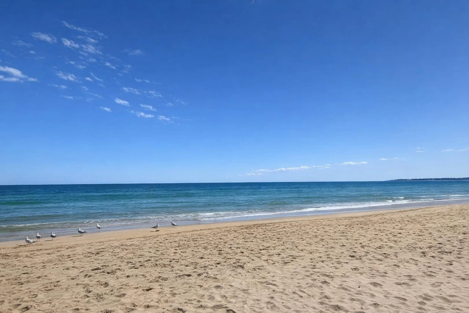 Additional image 32 of 20 Amberley Avenue, Aspendale VIC 3195