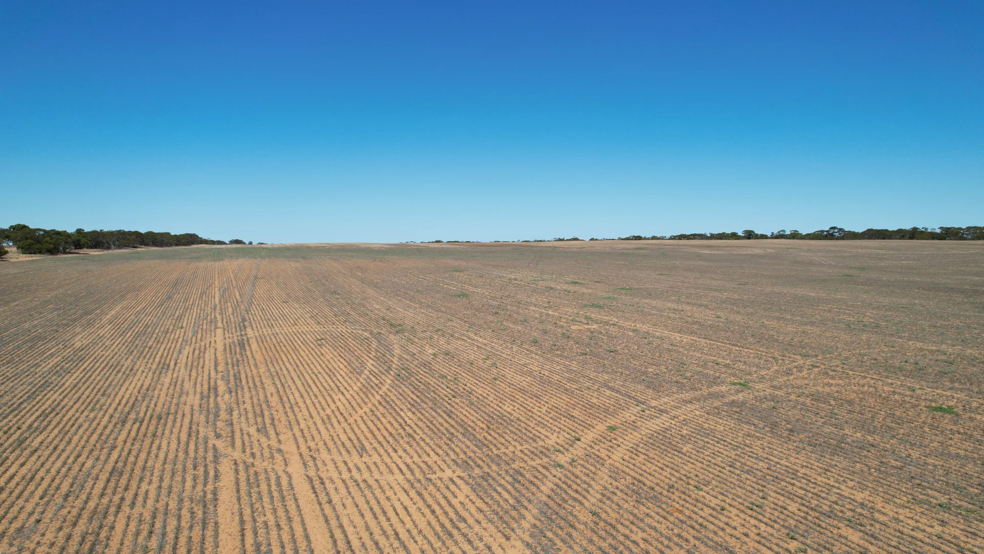 Additional image 7 of Lot 1 Stones Track & Lot 17 Kulkami Road, Karoonda SA 5307